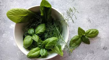 garnishing-instructions-image